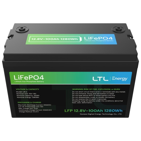 Kaufen DYNESS DY-AR-1200 stationäre Batterie – Kapazität 1280 Wh – LiFePO4 12 V / 100 Ah – 3000 Lebenszyklen – Bis zu 16 Einheit