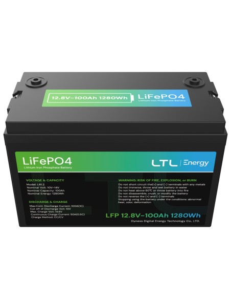 Kaufen DYNESS DY-AR-1200 stationäre Batterie – Kapazität 1280 Wh – LiFePO4 12 V / 100 Ah – 3000 Lebenszyklen – Bis zu 16 Einheit