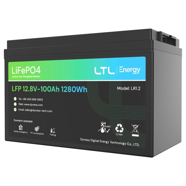 Kaufen DYNESS DY-AR-1200 stationäre Batterie – Kapazität 1280 Wh – LiFePO4 12 V / 100 Ah – 3000 Lebenszyklen – Bis zu 16 Einheit