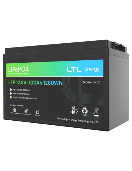 Kaufen DYNESS DY-AR-1200 stationäre Batterie – Kapazität 1280 Wh – LiFePO4 12 V / 100 Ah – 3000 Lebenszyklen – Bis zu 16 Einheit