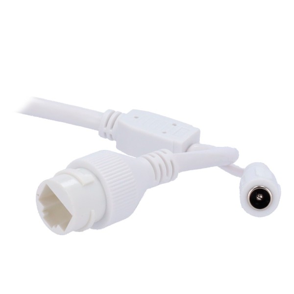Acheter EASYP EP-IPT230ZA-4 Caméra Turret IP IA EASY-P - 4 MP | Objectif motorisé 2,7 ~ 13,5 mm - IR 25 m | Micro - Installation