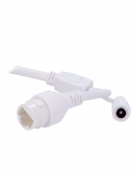 Kaufen EASYP EP-IPT230ZA-4 IP-Kamera Turret AI EASY-P – 4 MP | Motorisiertes Objektiv 2,7–13,5 mm – IR 25 m | Mikrofon – Plug-&-