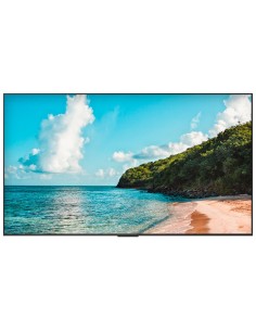 Comprar HISENSE HIS-100DM66E Monitor digital signage 100" 4K - Cartelería digital local USB - Cartelería cloud VisionInfo (