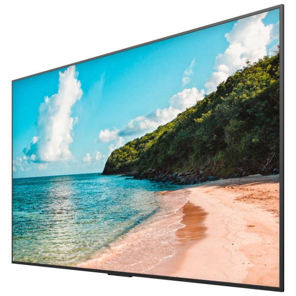 Comprar HISENSE HIS-100DM66E Monitor digital signage 100" 4K - Cartelería digital local USB - Cartelería cloud VisionInfo (