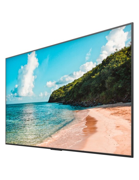Comprar HISENSE HIS-100DM66E Monitor digital signage 100" 4K - Cartelería digital local USB - Cartelería cloud VisionInfo (