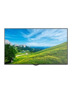 Comprar HISENSE HIS-49BM66AE Monitor HISENSE ELED 4K 49" | Serie M - Resolución 3840x2160 - Entrada HDMI, DVI, VGA, DP, USB
