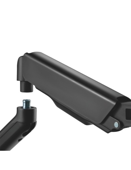 Acquistare OEM LDT46-C024E Braccio per due monitor - Installazione su scrivania - Peso supportato 9 kg/braccio