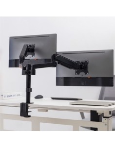 Kaufen OEM LDT48-C024 Doppelmonitorarm – Tischmontage – Tragfähigkeit 9 kg/Arm 2