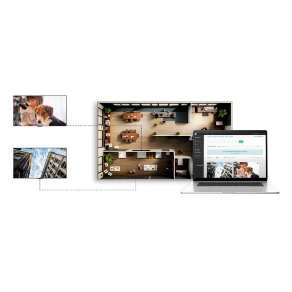 Comprar OEM NS005 Licencia de cartelería digital - Licencia anual - Una licencia por punto de reproducción NS005