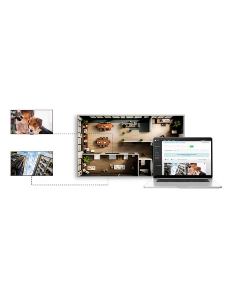 Comprar OEM NS005 Licencia de cartelería digital - Licencia anual - Una licencia por punto de reproducción NS005