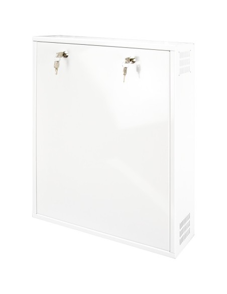 Comprar OEM RACK-DVRBOX-MVERTICAL Caja de seguridad - Especial para instalación en pared - Formato vertical - 2 llaves y cerradu
