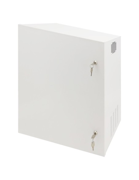 Comprar OEM RACK-WALL-PRO Caja de seguridad - Especial para instalación en pared - Formato vertical - 2 llaves y cerraduras  - E