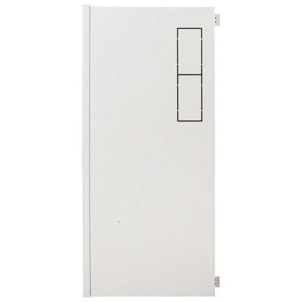 Comprar OEM RACK-WALL-PRO Caja de seguridad - Especial para instalación en pared - Formato vertical - 2 llaves y cerraduras  - E