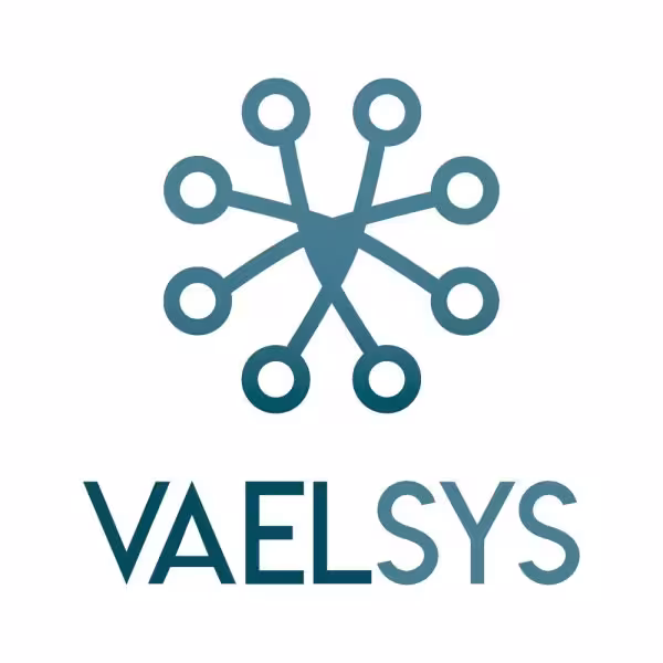 Acquistare VAELSYS SAM-3224 Software per l’integrazione del TPV (POS) con registratori Dahua fino a 4 canali