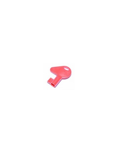 Kaufen NOTIFIER NOTIFIER-612 020-612 Satz roter Zentralschlüssel NFS