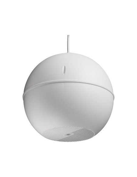 Kaufen INTEVIO INTEVIO-24 kugelförmiger Hängelautsprecher 20 W – DL-K 20-165/T-EN54