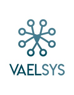 Acheter VAELSYS SAM-4619 Licence pour 1 canal LPM, gestion des plaques d’immatriculation compatible avec des caméras avec LPR in