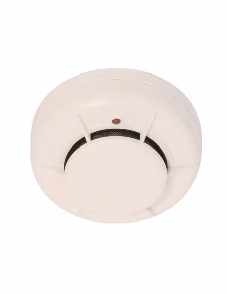 Comprar MORLEY-IAS | Loja Online Oficial