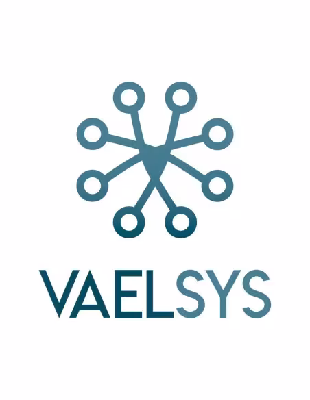 Comprar VAELSYS | Loja Online Oficial