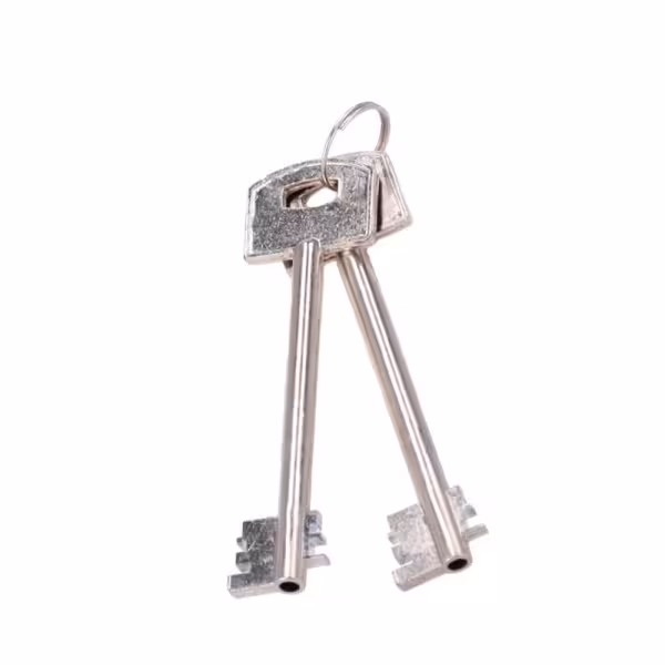 Acquistare OEM SAFETYBOX-DVR-15 Cassaforte per DVR - Specifica per CCTV - Per DVR rack 1U - Serratura meccanica - Con ventilazio