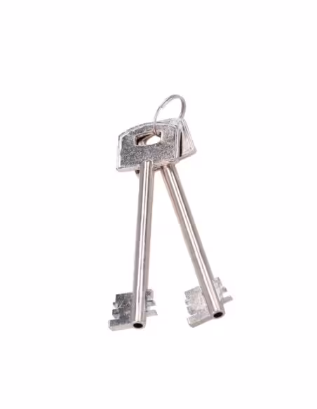 Acquistare OEM SAFETYBOX-DVR-15 Cassaforte per DVR - Specifica per CCTV - Per DVR rack 1U - Serratura meccanica - Con ventilazio
