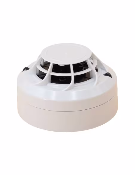 Comprar MORLEY-IAS | Loja Online Oficial