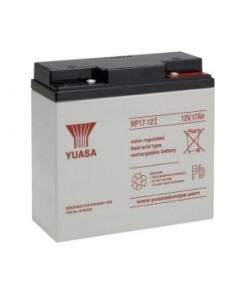 Acheter YUASA DEM-925 Batterie 12 V, 17 Ah