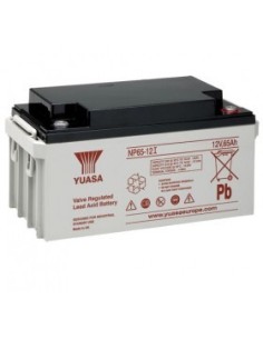 Acheter YUASA DEM-928 Batterie 12 V d’une capacité de 65 Ah