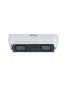 Kaufen DAHUA DAHUA-3488-FO IP-Kamera WizMind mit Dual-Objektiv 2x4MP