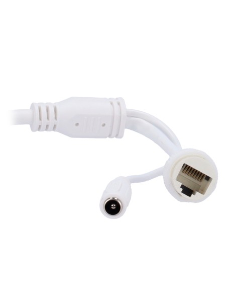 SAFIRE SMART SF-IPB070A-2B1-DL SAFIRE SMART - BALLET IP Camera B1 com luz dupla - 1/3 & quot progressivo Digitalização CMOS - Eu