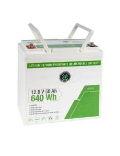 Acheter OEM DEM-963 Batterie au lithium 12,8 V / 50 Ah