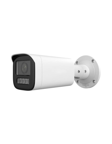 Kaufen HIKVISION OEM IPC-HB14LIAZ 4MP IP-Kamera mit Dual-Beleuchtung