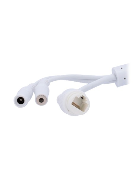 SAFIRE SMART SF-IPD040A-4E1-Cinzento Safire Smart - Câmera Dome IP Gama E1 Inteligência Artificial - Resolução 4 Megapixel (2566