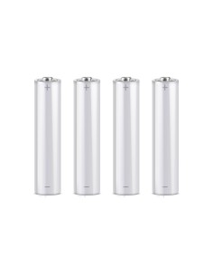 Acheter OEM DEM-365-P pile AAA au lithium 1,5 V pour hautes performances