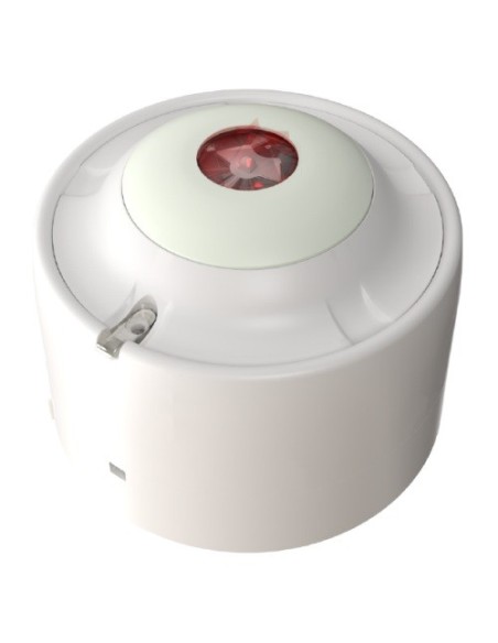 Kaufen KIDDE KE-AS3005W-WM KIDDE. Analoger Innenraum-Wandalarmindikator (VAD), gespeist über die serielle Excellence-Ringleitung