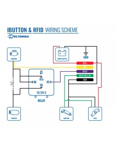Comprar TELTONIKA TK-IBUTTON-READER Lector de iButton - Teltonika - Protocolo 1-wire - Reconocimiento de conductor - Inmovilizac 2