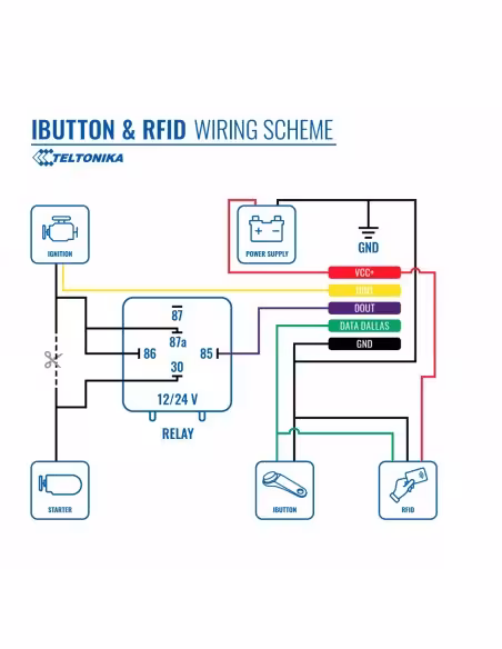 Kaufen TELTONIKA TK-IBUTTON-READER iButton-Lesegerät – Teltonika – 1‑Wire‑Protokoll – Fahreridentifikation – Wegfahrsperre