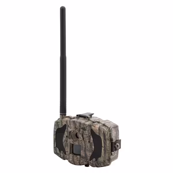 Comprare OEM TRAILCAM-36M-4G BolyGuard MG984G - Fototrappola 4G - GPRS - Risoluzione 8 Megapixel (fino a 36 interpolati) - D