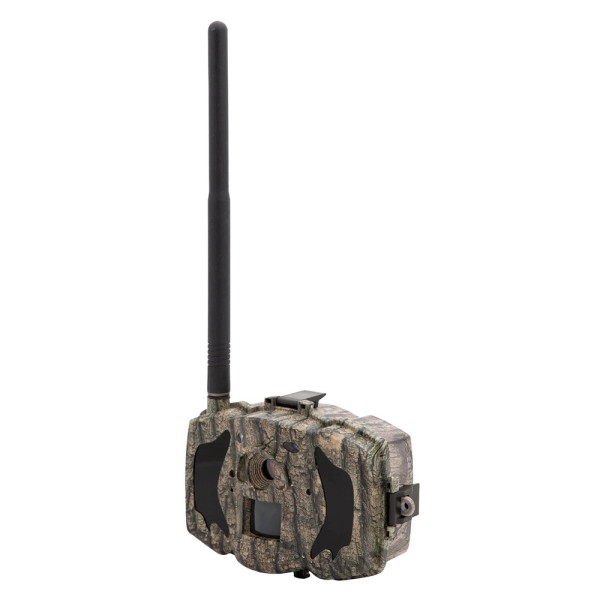 Comprar OEM TRAILCAM-36M-4G BolyGuard MG984G - Cámara fototrampeo 4G - GPRS - Resolución 8 Megapixel (hasta 36 interpolados) - D