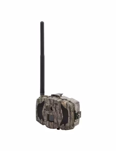 Comprar OEM | Loja Online Oficial