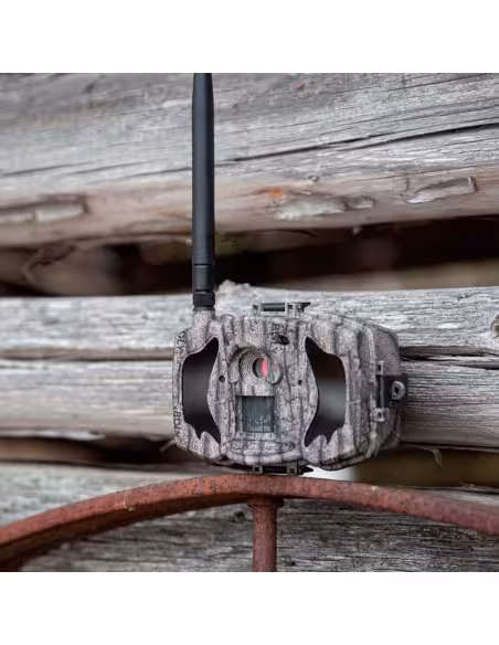 Acheter OEM TRAILCAM-36M-4G BolyGuard MG984G - Caméra de piège photographique 4G - GPRS - Résolution 8 mégapixels (jusqu’à 36 in