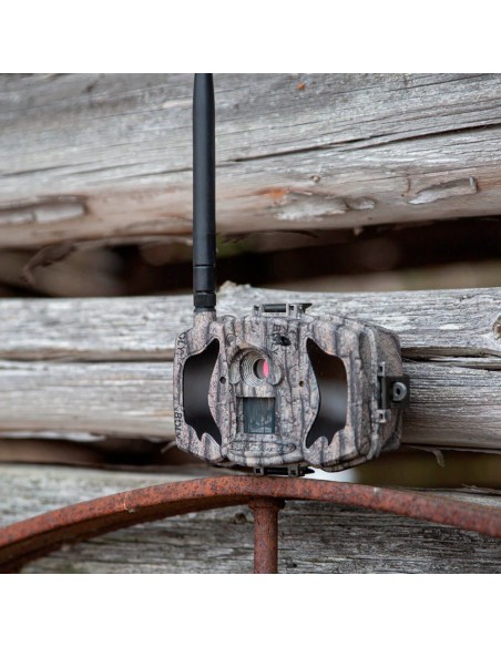 OEM TrailCam-36m-4G Bolyguard MG984G - Câmera Phototragamo 4G - GPRS - Resolução 8 Megapixels (até 36 interpolados) - detector 