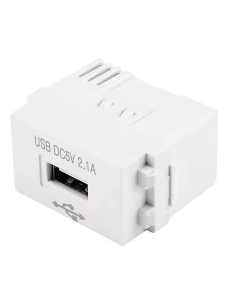 Acquistare OEM TYPE128USB-220ACADAPTOR Convertitore di tensione - Ingresso AC 220 V - Uscita DC 5 V / 2,1 A in formato USB A - D