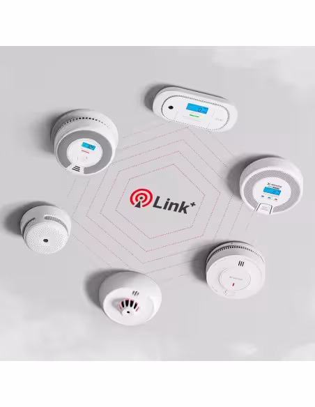Kaufen X-SENSE XH02-M autonomer Wärmemelder X-Sense – Verbindung mit HUB SBS50 zur Kommunikation per App – Genehmigung
