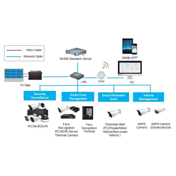 Acquistare TVT | Negozio Online Ufficiale