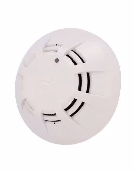 Comprar JADE BIRD | Loja Online Oficial