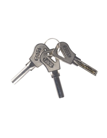 Kaufen BYSECUR BYSECUR-70 intelligente elektromechanische Sicherheits-Aufputzschloss Fail Secure (NO). Edelstahl