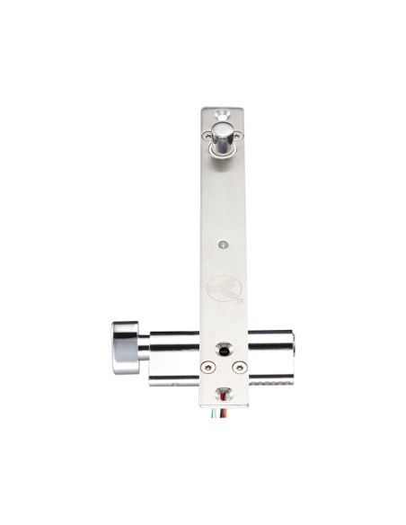 Kaufen BYSECUR BYSECUR-73 elektromagnetisches Türschloss. Mit „Riegel“-Verriegelung und Schließzylinder mit Schlüssel. Haltekraf