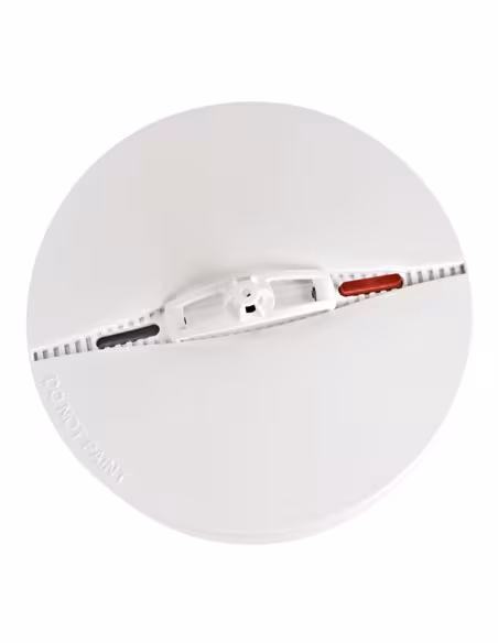 Comprar BENTEL | Loja Online Oficial