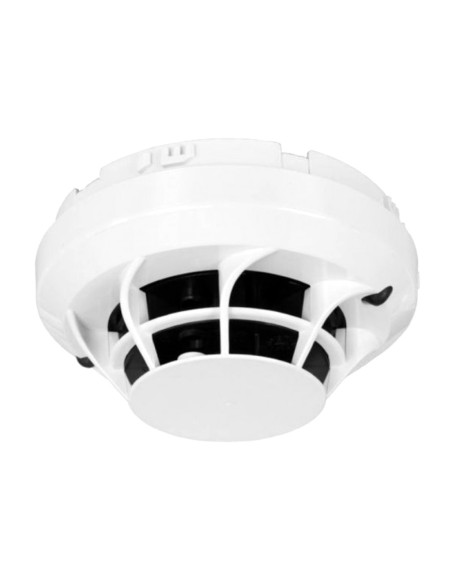 Comprar MORLEY | Loja Online Oficial